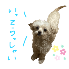 yuka_20220417194705