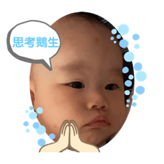 葉企鵝的日常生活