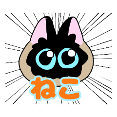 Saori_20220418041115