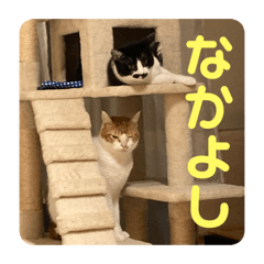 natsumi_20220418085316