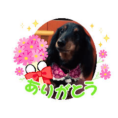 kaori_20220418100522