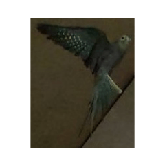 345_20220418130218