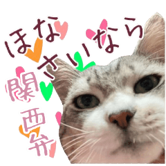 保護猫ラムの写真スタンプ　Ver関西弁