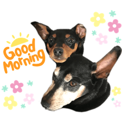 Chisa_20220418134328