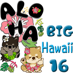 【Big】ちゃちゃ丸 16『Hawaii』