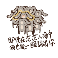 長耳兔日常
