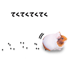 モルモット テンジクネズミ の友達 Line スタンプ Line Store モルモット テンジクネズミ の友達 Line スタンプ Line Store