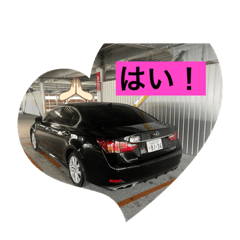 falcon_20220418160534