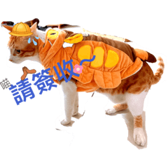 日常喵語