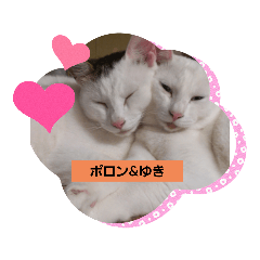 PORONYUKI_20220418170242