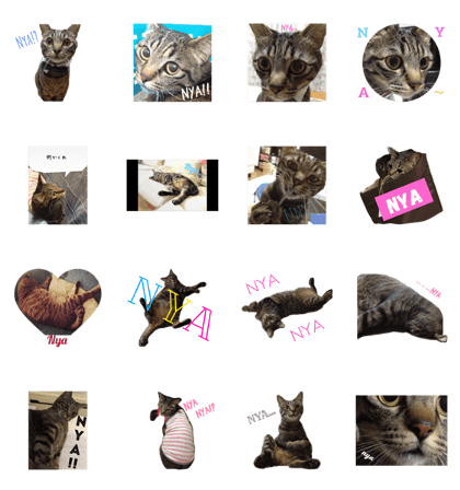 Nya!Nya!Nya!