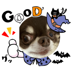 michiko_20220418172537