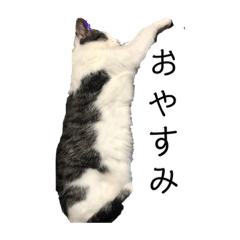 arisa_20220418200332