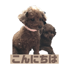 AKO_20220416175359 – LINE stickers | LINE STORE