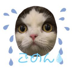 Dakko_20220418183016