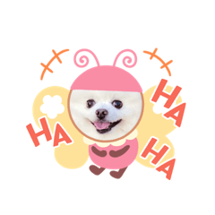 melon_20220418220107