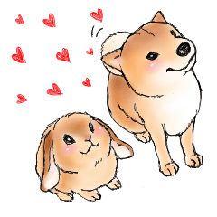 北海道犬とロップイヤーラビット