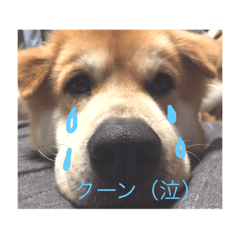 otoshi