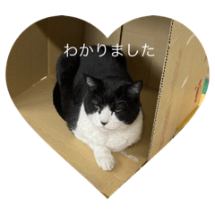 hikari_20220418200919