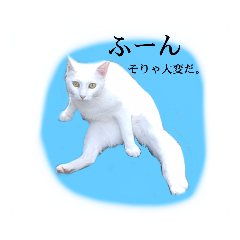 yn_20220418210953