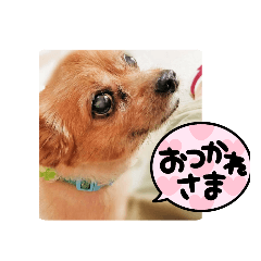 chie_20220416222148