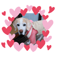 Natsumi_20220419005616