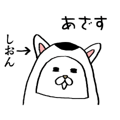 shion animal daruma