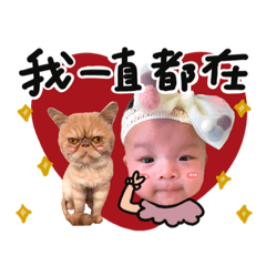 兒子回喵星球囉