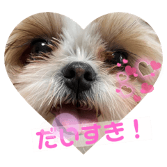 aina_20220419073904