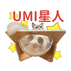 貓貓Umi 想吃罐罐
