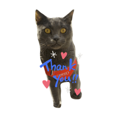 JuNkO_20220419111755