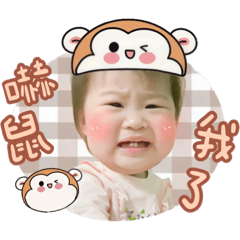 從五指山跑出來的調皮猴豆花