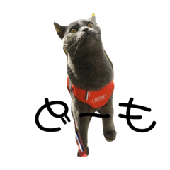 JuNkO_20220419134640