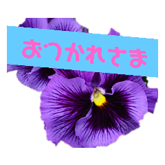 asako_20220419132343