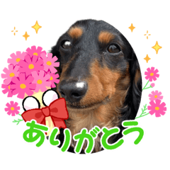 miki_20220419134824