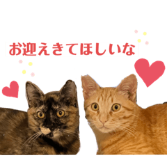 Natsumi_20220419143323