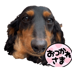 miki_20220419144427
