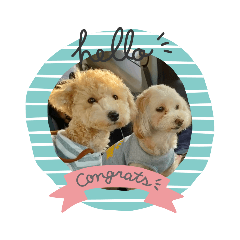 himawari_20220419155143