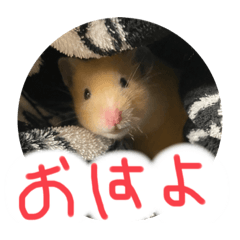 Risa_20220419163355