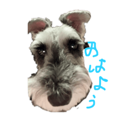 ry_20220419163946