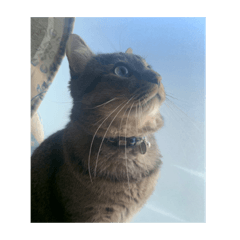 Hikari_20220419171415