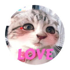 Natsumi_20220419191826