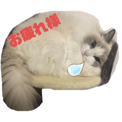 chie_20220419220628