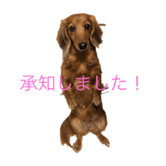 hana0913