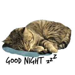 arisa_20220419203349