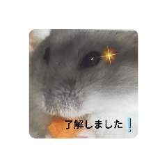 Himawari_20220419161644