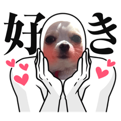 hana_20220420091048