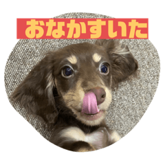 tono_20220420111317