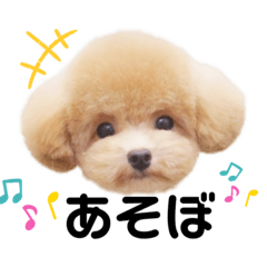 yuka_20220420020547