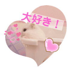 aina_20220420064503